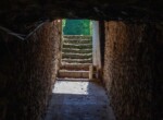 IMG_6533