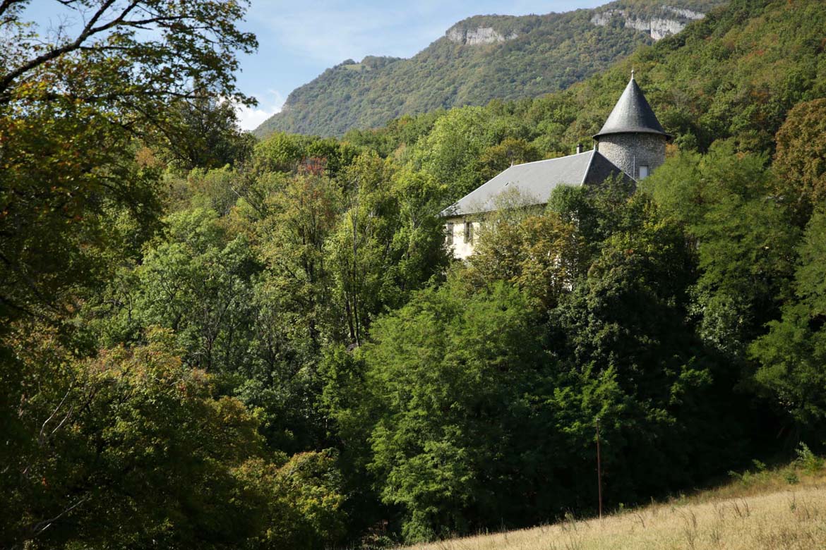 Chateau médiévale en friche en Auvergne-Rhône-Alpes