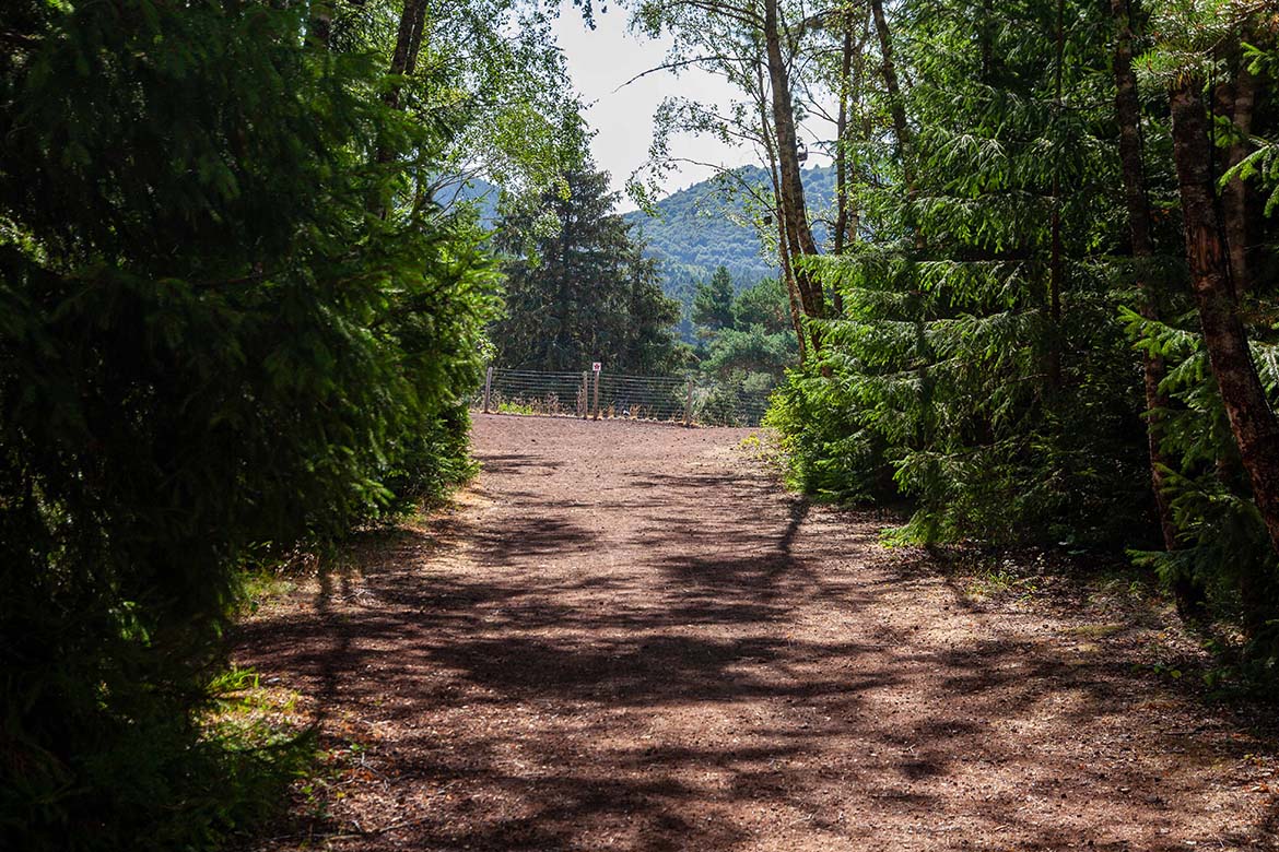 Site volcanique en Auvergne-Rhône-Alpes