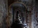 IMG_2841