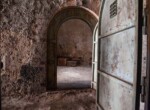 IMG_2856