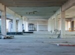 IMG_8650
