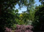 IMG_0359