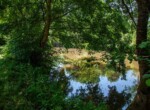 IMG_1155