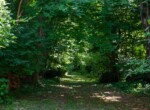 IMG_1167
