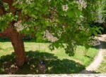 IMG_0921
