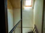 IMG_0932