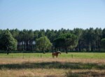 IMG_1465