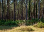 IMG_1473