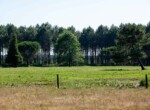 IMG_1494