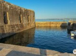 BacletAugier_IMG_2611