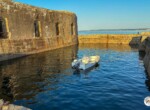 BacletAugier_IMG_2616