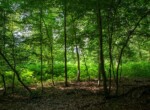 IMG_0690