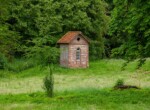 IMG_7529