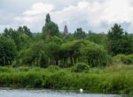 IMG_7536