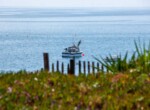 IMG_8772