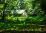 IMG_6652