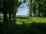 IMG_6670