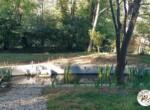 Le bassin