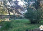 Vers le potager