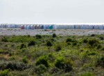 IMG_7640