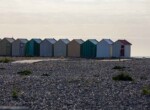 IMG_7717
