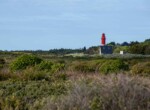 IMG_7718