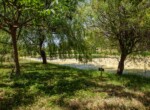 IMG_7797