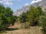 IMG_7808