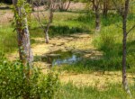 IMG_7816