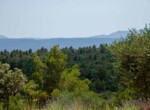 IMG_7914